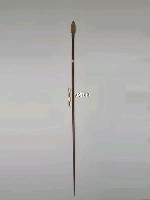 藏品(槍)的圖片